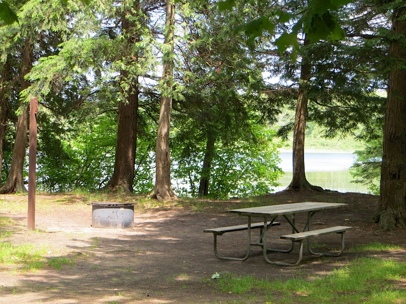 Park Image 3
