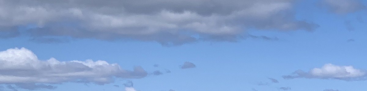 Contorta Point Group Campground