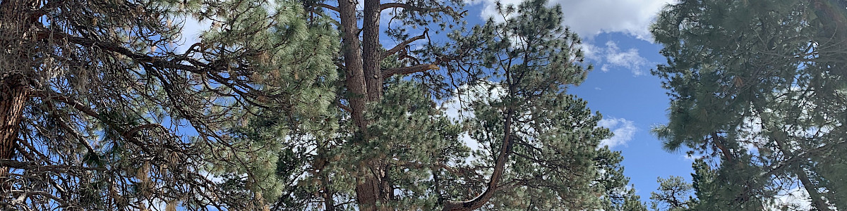 Graham Corral Horse Camp