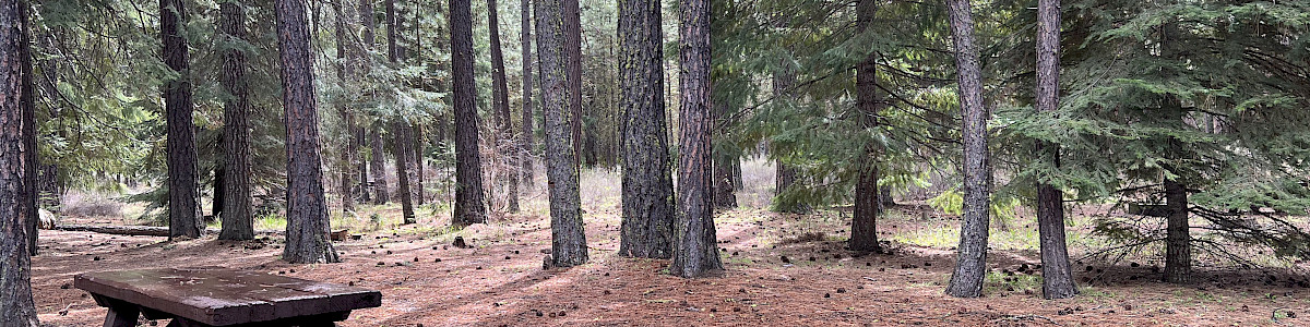 Riverside Campground