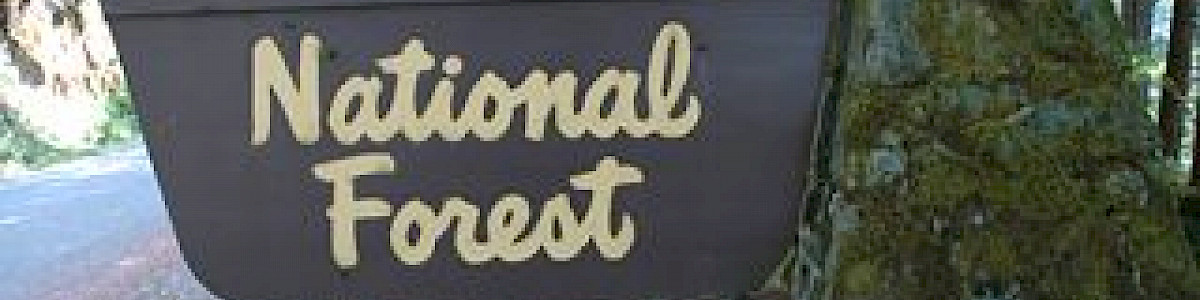 Troublesome Creek Campground