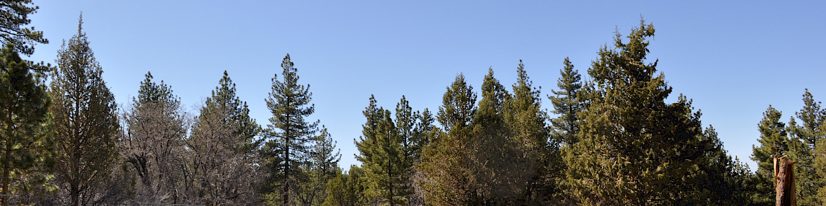 Green Spot Equestrian Group Campground